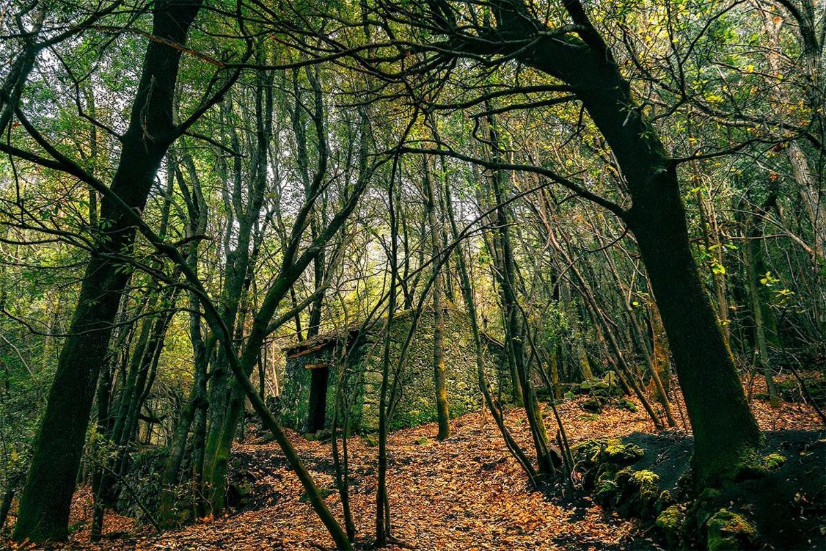 B&B Ruota Di Carretto Nicolosi Luaran gambar